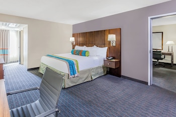 Suite, 1 King Bed with Sofa bed