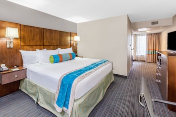 Standard Room, 1 King Bed