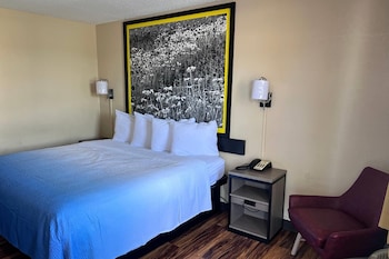 Room, 1 King Bed, Mobility Accessible, Non Smoking (Roll-in Shower)