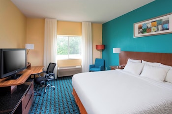 Executive Suite, 1 King Bed with Sofa bed (Mobility/Hearing Access, Transf Shwr)