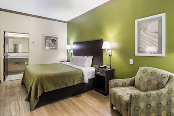 Room, 1 King Bed, Accessible, Non Smoking