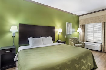 Standard Room, 1 King Bed with Sofa bed, Non Smoking (2 Person Sofa bed, Shower Only)