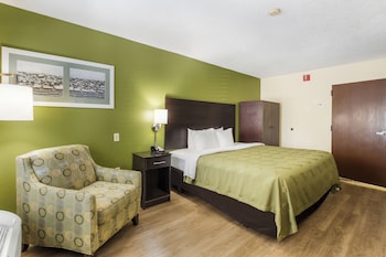 Room, 1 King Bed with Sofa bed, Non Smoking