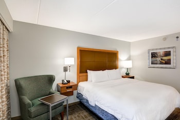 Room, 1 King Bed