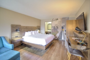 Standard Room, 1 King Bed, Non Smoking