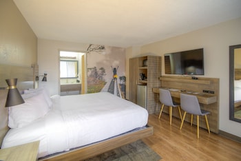 Standard Room, 1 King Bed, Non Smoking