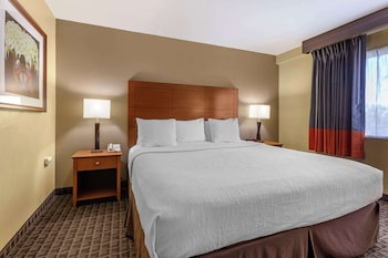 Suite, 1 King Bed, Non Smoking, Balcony (with Sofabed)