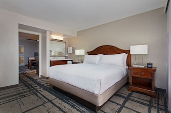 Suite, 1 King Bed, Allergy Friendly