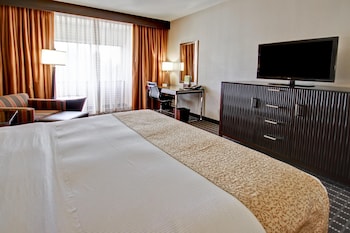 Room, 1 King Bed
