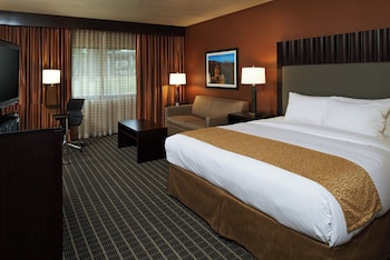 Room, 1 King Bed with Sofa bed, Accessible (Roll-In Shower)