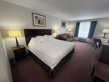 Room, 1 King Bed, Non Smoking
