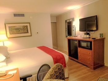 Room, 1 King Bed, Non Smoking (Interior Entrance)