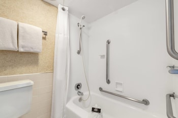 Traditional Room, 1 Double Bed, Accessible, Ground Floor