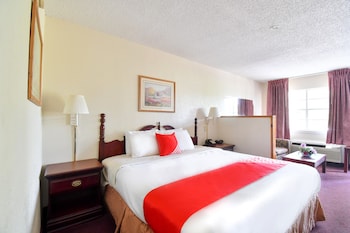 Room, 1 King Bed