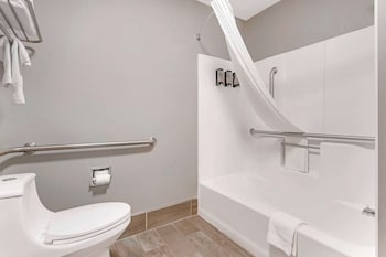 Standard Room, 1 King Bed, Accessible, Bathtub
