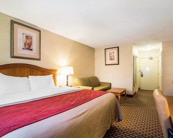 Room, 1 King Bed, Accessible, Non Smoking