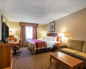 Room, 1 King Bed, Accessible, Non Smoking