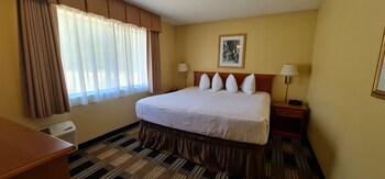 Single Room, 1 Bedroom