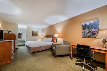 Standard Room, 1 King Bed, Non Smoking, Microwave