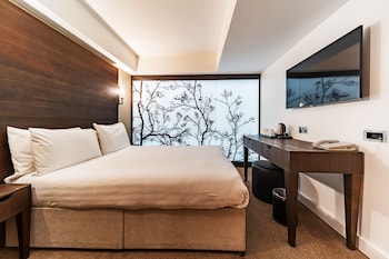 Deluxe Double Room (Windowless)