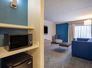 Suite, 1 King Bed with Sofa bed