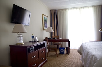 Club Room, 1 King Bed