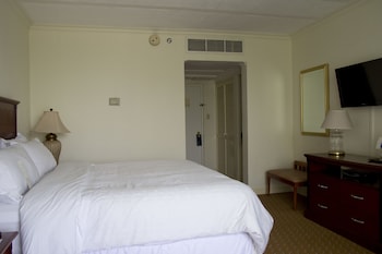 Junior Suite, 1 King Bed (No View)
