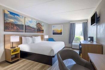 Room, 1 King Bed, Smoking