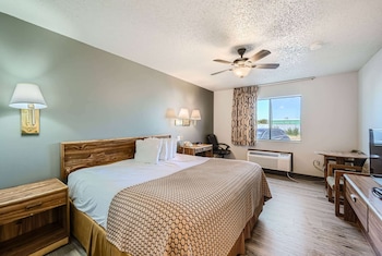 Room, 1 King Bed, Non Smoking