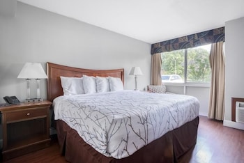 Room, 1 Queen Bed