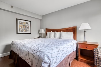 Room, 1 King Bed