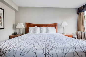 Room, 1 King Bed