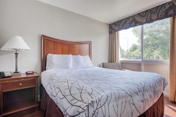 Room, 1 King Bed