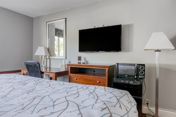 Room, 1 King Bed