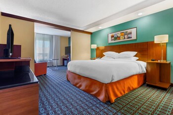 Suite, 1 King Bed with Sofa bed, Non Smoking (Efficiency)
