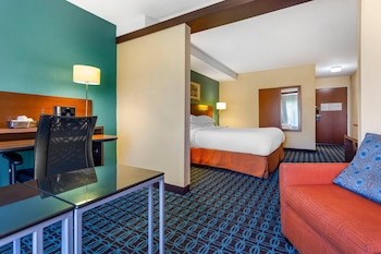Suite, 1 King Bed with Sofa bed, Non Smoking (Efficiency)