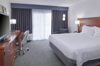 Room, 1 King Bed with Sofa bed