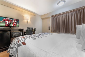 Deluxe Room, 1 King Bed, Non Smoking