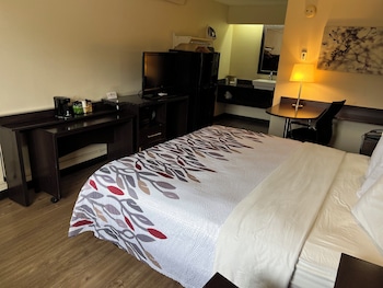 Superior Room, 1 King Bed, Non Smoking (Full-Size Refrigerator)