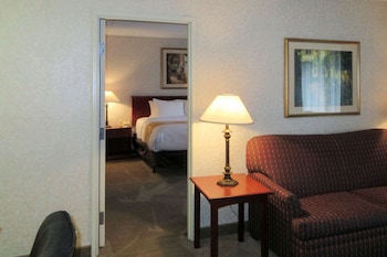 Suite, 1 King Bed, Non Smoking