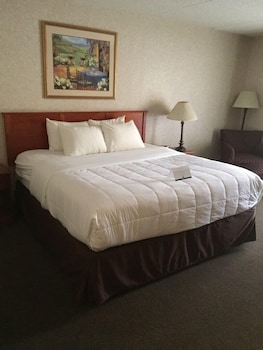 Standard Room, 1 King Bed, Non Smoking