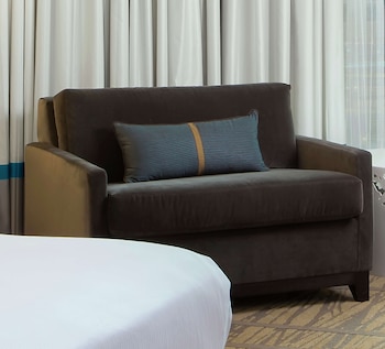 Room, 1 King Bed with Sofa bed