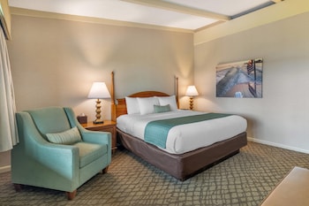 Room, 1 King Bed, Non Smoking, Jetted Tub