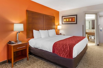 Room, 1 King Bed, Accessible, Non Smoking