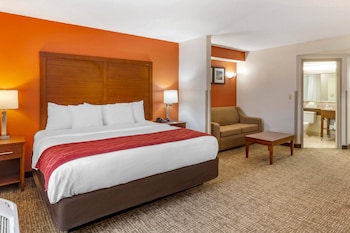 Deluxe Suite, 1 King Bed, Non Smoking
