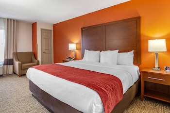 Room, 1 King Bed, Accessible, Non Smoking