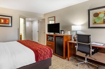Room, 1 King Bed, Accessible, Non Smoking