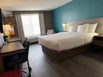 Standard Room, 1 King Bed, Non Smoking