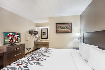 Deluxe Room, 1 King Bed (Smoke Free)