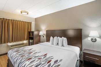 Business Room, 1 King Bed, Accessible (Smoke Free)